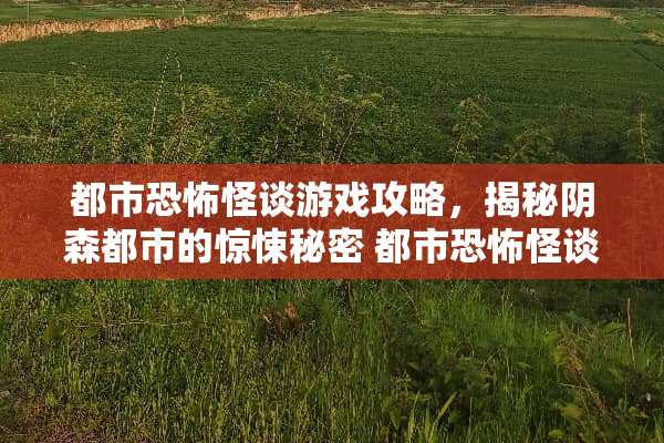 都市恐怖怪谈游戏攻略，揭秘*森都市的惊悚秘密 都市恐怖怪谈游戏攻略