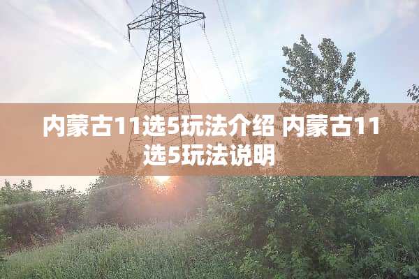 ***11选5玩法介绍 ***11选5玩法说明