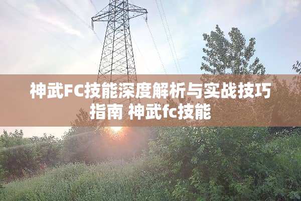 神武FC技能深度解析与实战技巧指南 神武fc技能
