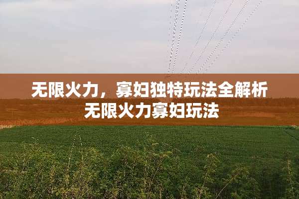 无限火力，**独特玩法全解析 无限火力**玩法