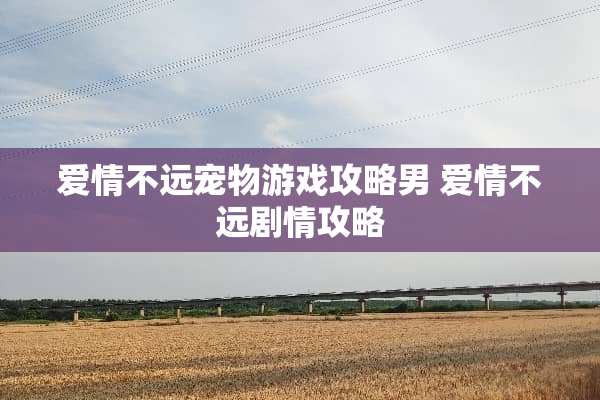 爱情不远宠物游戏攻略男 爱情不远剧情攻略