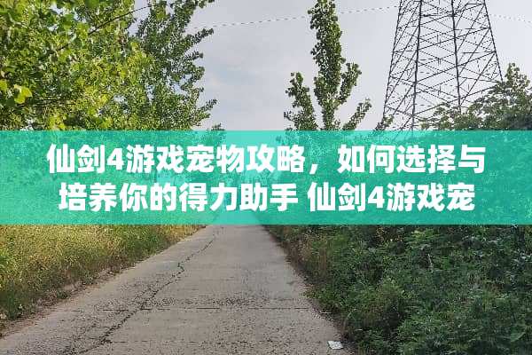 仙剑4游戏宠物攻略，如何选择与培养你的得力助手 仙剑4游戏宠物攻略