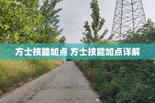 方士技能加点 方士技能加点详解