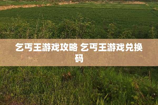 乞丐王游戏攻略 乞丐王游戏兑换码
