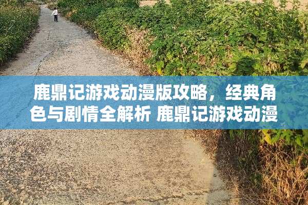 鹿鼎记游戏动漫版攻略，经典角色与剧情全解析 鹿鼎记游戏动漫版攻略