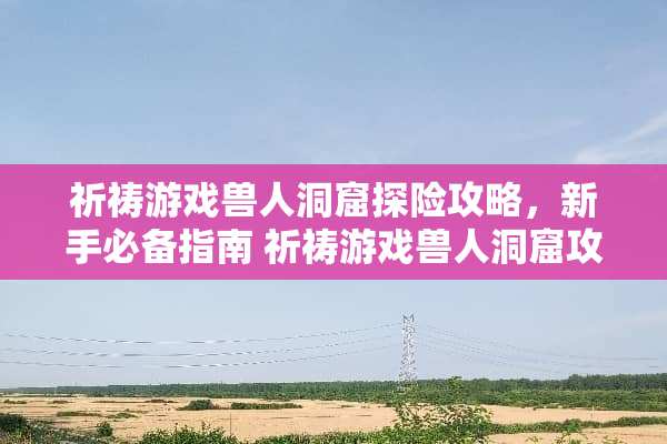 祈祷游戏兽人洞窟探险攻略，新手必备指南 祈祷游戏兽人洞窟攻略