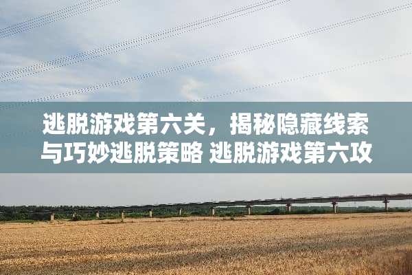 逃脱游戏第六关，揭秘隐藏线索与巧妙逃脱策略 逃脱游戏第六攻略