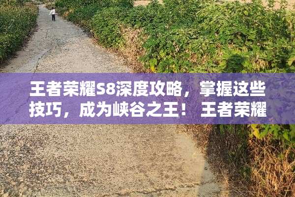 王者荣耀S8深度攻略，掌握这些技巧，成为峡谷之王！ 王者荣耀s8攻略