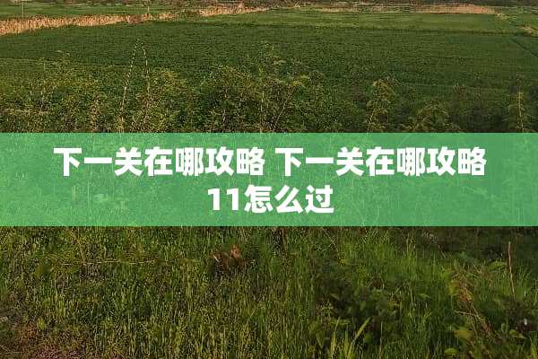 下一关在哪攻略 下一关在哪攻略11怎么过