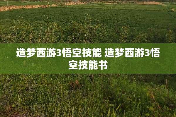 造梦西游3悟空技能 造梦西游3悟空技能书