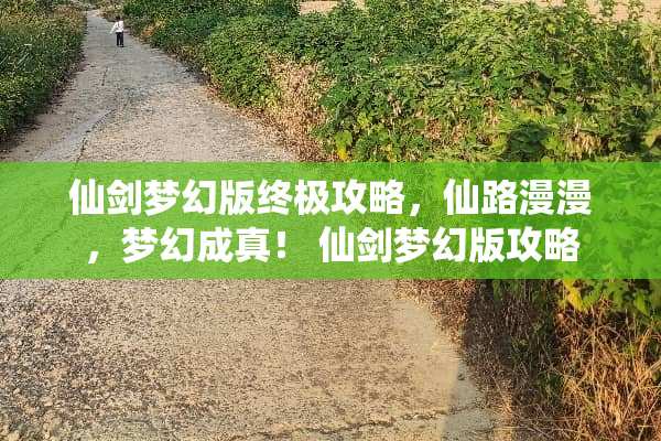 仙剑梦幻版终极攻略，仙路漫漫，梦幻成真！ 仙剑梦幻版攻略