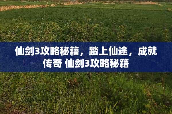 仙剑3攻略秘籍，踏上仙途，成就传奇 仙剑3攻略秘籍