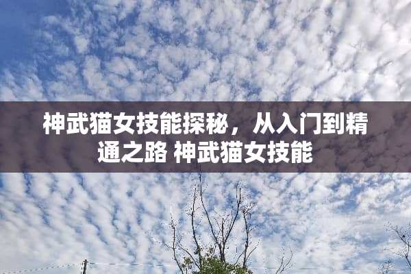 神武猫女技能探秘，从入门到精通之路 神武猫女技能