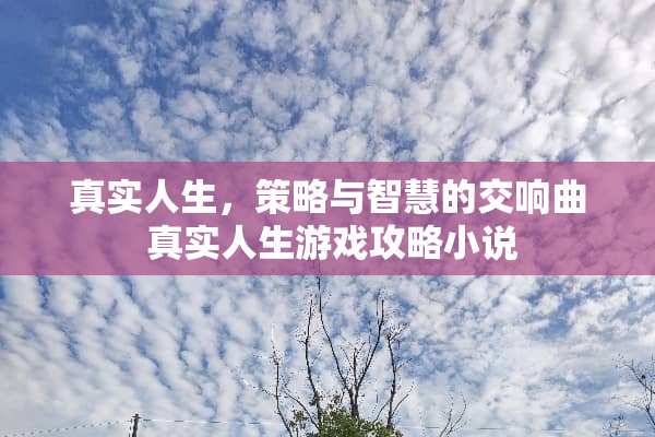 真实人生，策略与智慧的交响曲 真实人生游戏攻略小说