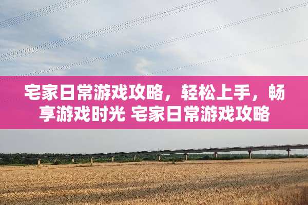 宅家日常游戏攻略，轻松上手，畅享游戏时光 宅家日常游戏攻略