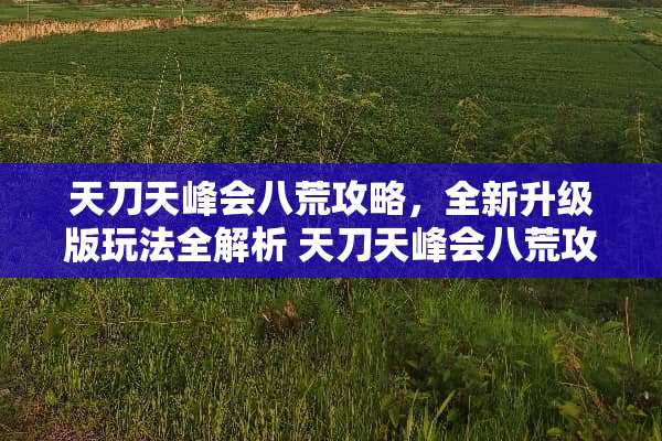 天刀天峰会八荒攻略，全新升级版玩法全解析 天刀天峰会八荒攻略