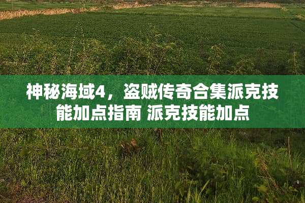 神秘海域4，盗贼传奇合集派克技能加点指南 派克技能加点