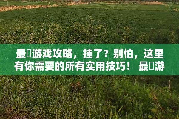 最囧游戏攻略，挂了？别怕，这里有你需要的所有实用技巧！ 最囧游戏攻略有挂了