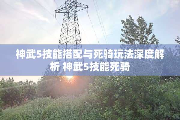 神武5技能搭配与死骑玩法深度解析 神武5技能死骑
