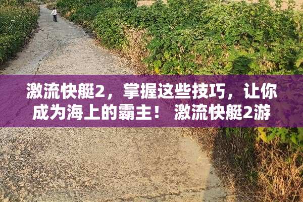 激流快艇2，掌握这些技巧，让你成为海上的霸主！ 激流快艇2游戏攻略