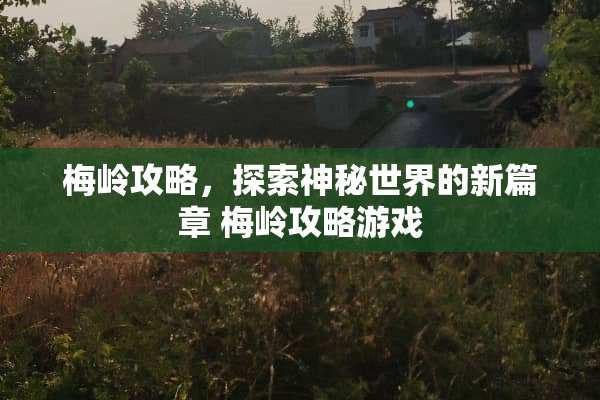 梅岭攻略，探索神秘世界的新篇章 梅岭攻略游戏
