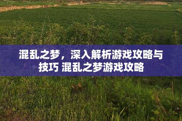 混乱之梦，深入解析游戏攻略与技巧 混乱之梦游戏攻略