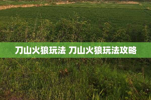 刀山火狼玩法 刀山火狼玩法攻略