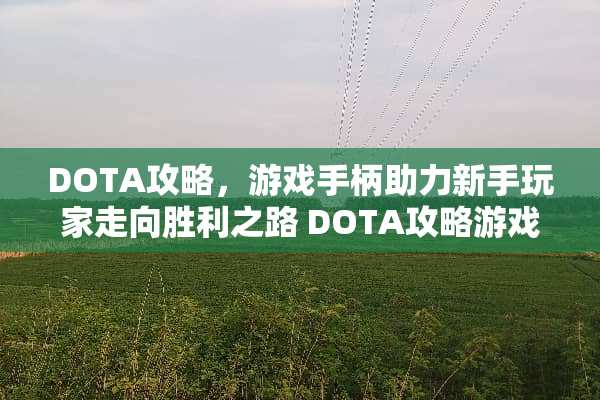DOTA攻略，游戏手柄助力新手玩家走向胜利之路 DOTA攻略游戏手柄