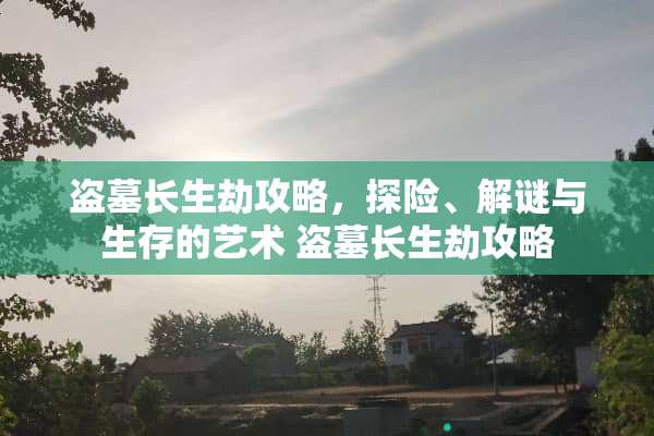 盗墓长生劫攻略，探险、解谜与生存的艺术 盗墓长生劫攻略