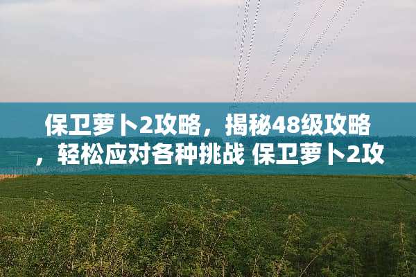 保卫萝卜2攻略，揭秘48级攻略，轻松应对各种挑战 保卫萝卜2攻略48