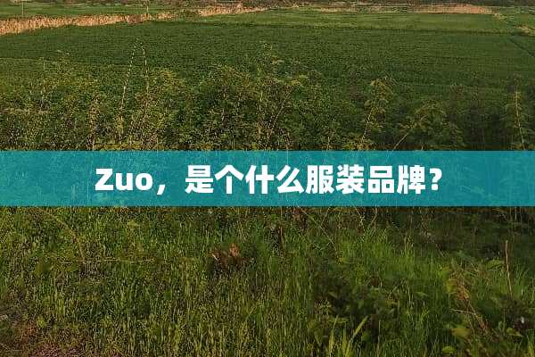 Zuo，是个什么服装品牌？