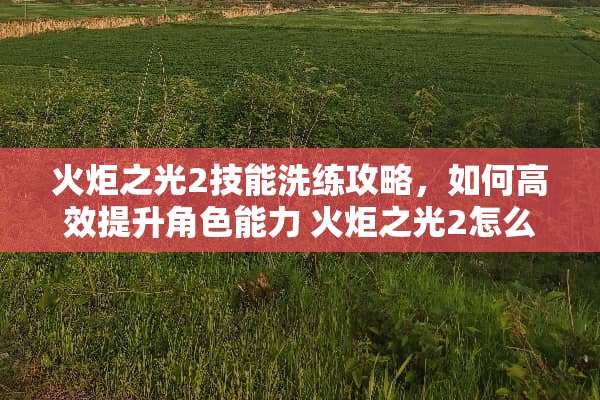 火炬之光2技能洗练攻略，如何高效提升角色能力 火炬之光2怎么洗技能