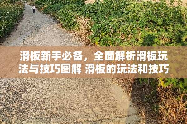 滑板新手必备，全面解析滑板玩法与技巧图解 滑板的玩法和技巧图解