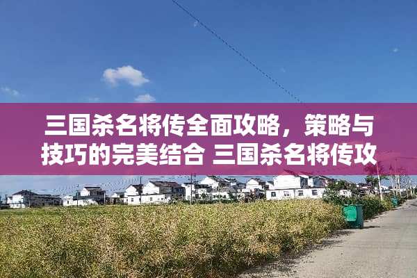 三国杀名将传全面攻略，策略与技巧的完美结合 三国杀名将传攻略