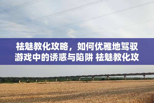 祛魅教化攻略，如何优雅地驾驭游戏中的**与陷阱 祛魅教化攻略