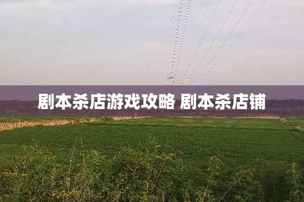 剧本杀店游戏攻略 剧本杀店铺