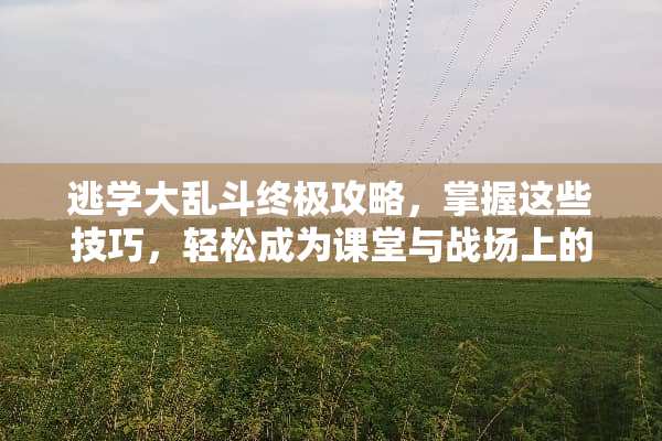 逃学大乱斗终极攻略，掌握这些技巧，轻松成为课堂与战场上的无敌王者！ 逃学大乱斗攻略