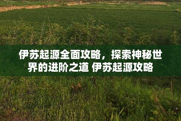 伊苏起源全面攻略，探索神秘世界的进阶之道 伊苏起源攻略
