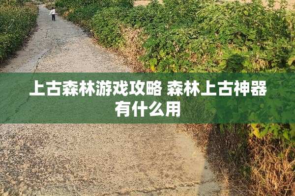 上古森林游戏攻略 森林上古神器有什么用