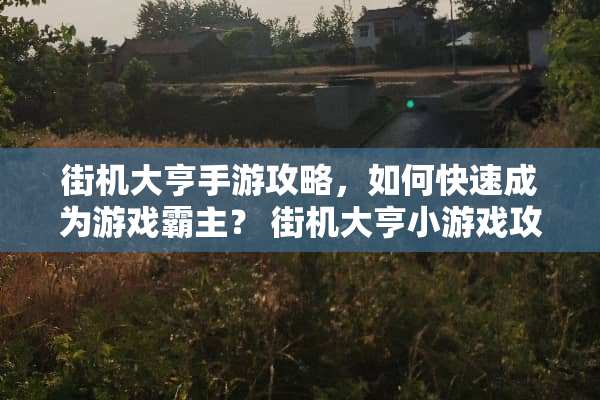 街机大亨手游攻略，如何快速成为游戏霸主？ 街机大亨小游戏攻略