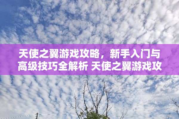 天使之翼游戏攻略，新手入门与高级技巧全解析 天使之翼游戏攻略