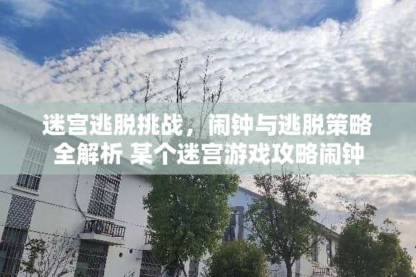 迷宫逃脱挑战，闹钟与逃脱策略全解析 某个迷宫游戏攻略闹钟