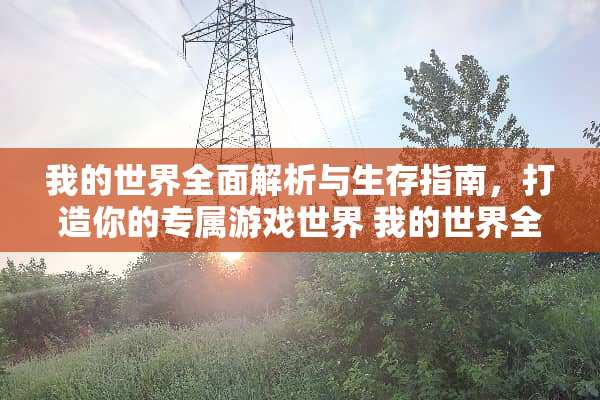 我的世界全面解析与生存指南，打造你的专属游戏世界 我的世界全攻略