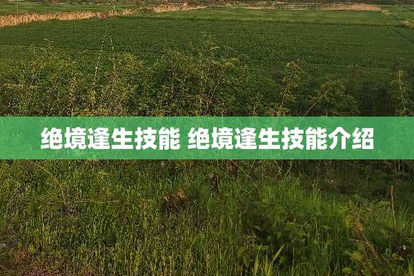 绝境逢生技能 绝境逢生技能介绍