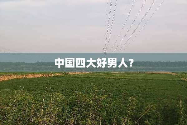 中国四大好男人？