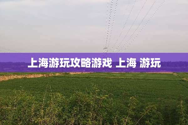 上海游玩攻略游戏 上海 游玩