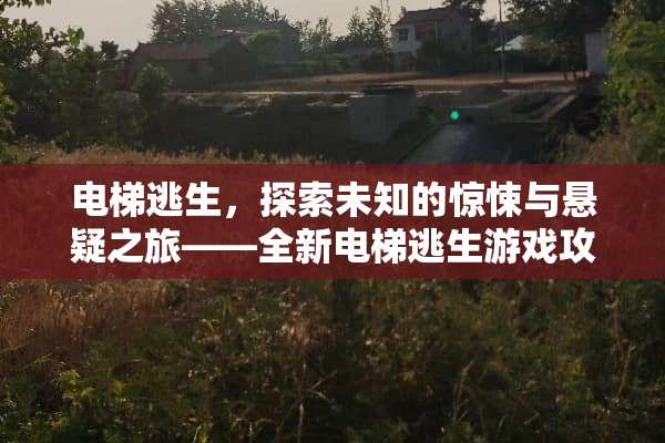 电梯逃生，探索未知的惊悚与悬疑之旅——全新电梯逃生游戏攻略揭秘 电梯逃生游戏攻略