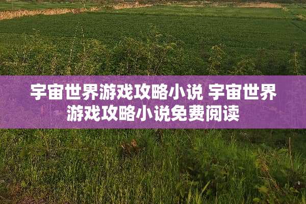 宇宙世界游戏攻略小说 宇宙世界游戏攻略小说免费阅读