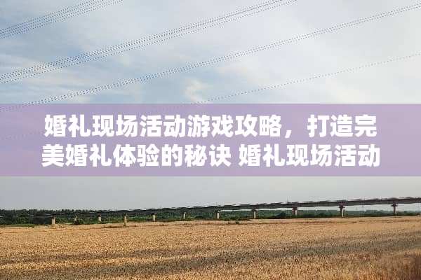 婚礼现场活动游戏攻略，打造完美婚礼体验的秘诀 婚礼现场活动游戏攻略
