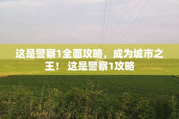 这是**1全面攻略，成为城市之王！ 这是**1攻略